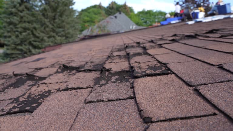 Best Storm Damage Roof Repair  in Huntington, TX