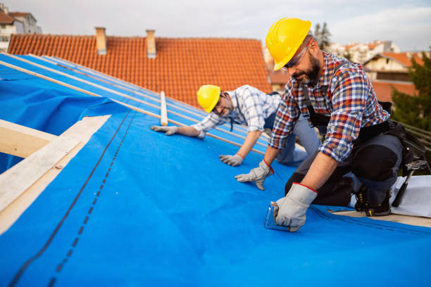 Best Roof Insulation Installation  in Huntington, TX
