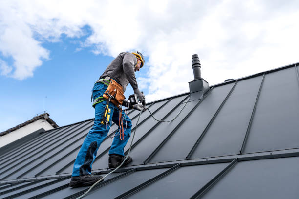 Best Skylights  in Huntington, TX